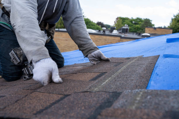 Best Storm Damage Roof Repair  in Dandridge, TN
