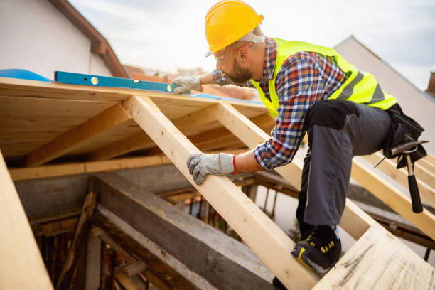Best Roof Maintenance Services  in Dandridge, TN