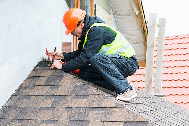 Best Metal Roofing Contractor  in Dandridge, TN