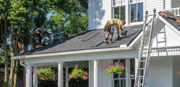 Best Storm Damage Roof Repair  in Dandridge, TN