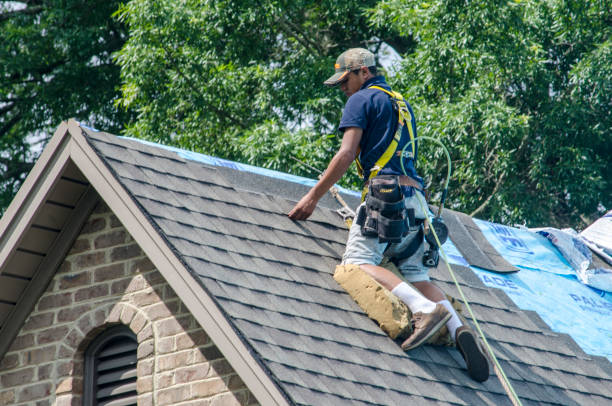 Best Commercial Roofing Services  in Dandridge, TN